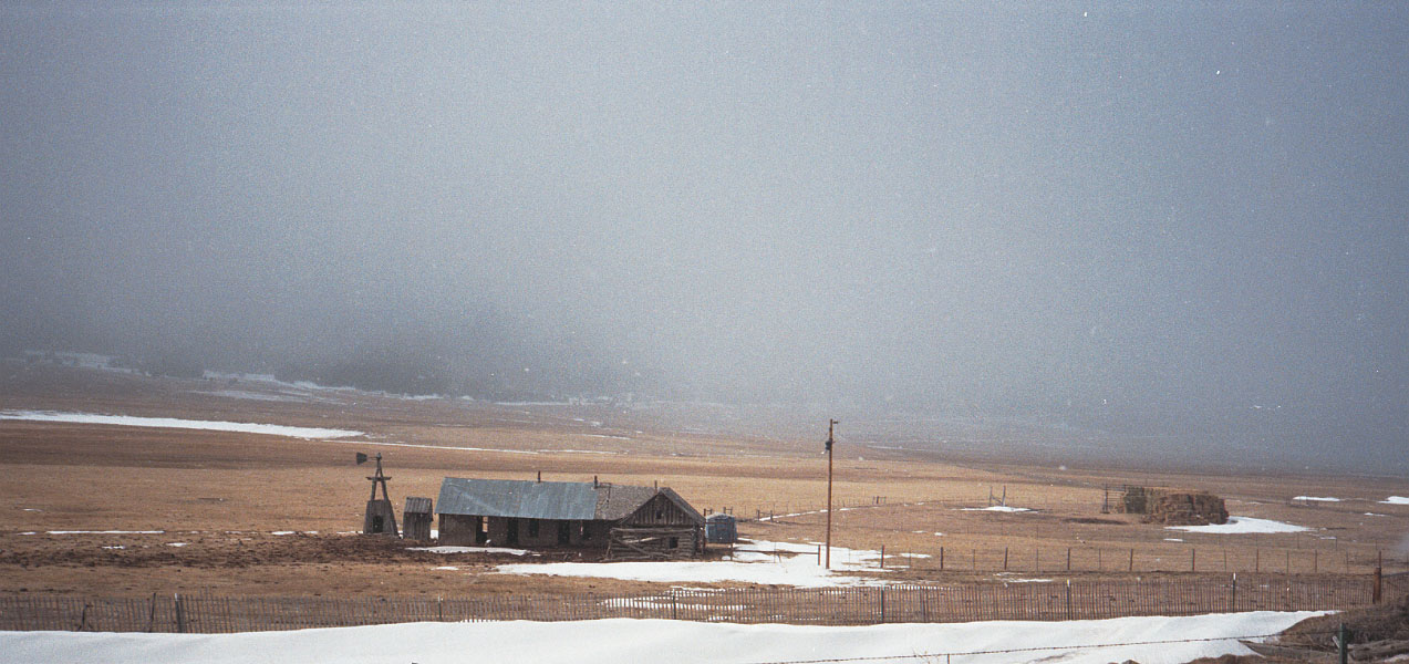 Winter Pasture